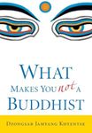 What Makes You Not A Buddhist