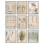 BigWig Prints Da Vinci Human Anatomy Poster - Leonardo Da Vinci Prints, Vintage Anatomy Poster, Gothic Wall Art, Renaissance Poster, Vitruvian Man Print, Renaissance Art Prints - Unframed 9 PCS (8x10)