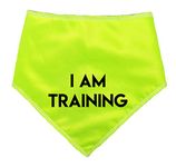 Spoilt Rotten Pets S3 Hi Viz I Am Training Dog Bandana For Dogs & Cats (S3 Medium Dogs, Labs, Staffies & Springers)