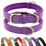 HSIGIO Padded Leather Dog Collar, Soft Breathable Adjustable Waterproof Dog Collar Leather with Durable Metal Buckle for Small Medium and Large Dogs (Medium, Purple)