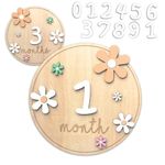 D-buy Baby Monthly Milestone, Baby Milestone Book, Boho Baby Birth Announcement Sign, Newborn Announcement Sign for Hospital Shower Nursery, Baby Girls Boys Wooden Number Milestone Blocks