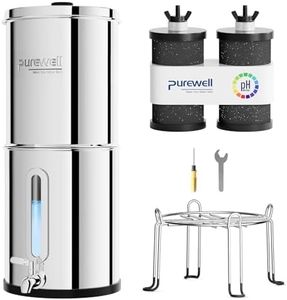 Purewell S