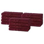 DARWEN STAR Hand Towels Set 100% Egyptian Cotton Towels, Quick Dry Towel,Multipurpose Towel Set 50 x 80 cm (Wine, 2)