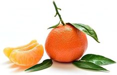 OliveNation Pure Tangerine Extract - 4 Ounce - Best Substitute Of orange Flavor - Made From The Finest Florida Tangerine Oil - Perfect To Use For Baking, Beverages And Ice Cream