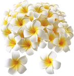 Pursuestar 100Pcs White Foam Hawaii