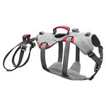 Ruffwear Climbing Harness for Dogs, Medium Breeds, Adjustable Fit, Size: Medium, Cloudburst Grey, Doubleback Harness, 30301-045M