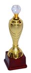 Sigaram Crystal Globe Trophies Shield for Winners Party Celebrations Ceremony Appreciation Gift for Winners Gold/Brown Cup Trophy Award for School Sport Academy for Teachers and Students