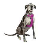 Embark Adventure Dog Harness, Easy On and Off with Front and Back Leash Attachments & Control Handle - No Pull Training, Size Adjustable and Non Choke (XL, Pink)