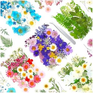 170Pcs+ Real Dried Pressed Flowers Leaves Petals for Crafts-Beautiful Pressed Flowers Daisies for Resin Jewellery, Pressed Flowers Nail Pendant Crafts Making Craft DIY Accessories with 1pcs Tweezers