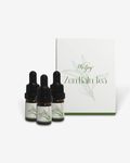 Weljoy Zen Essential Oil Set (ZenRain Tea, 10ml(3pcs))
