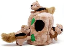 Outward Hound Squirrel Dog Toy - Pl