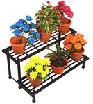 AKURA,2-Step Metal Gardening Stand/Planter Stand for Indoor &Outdoor Plant Pots(Steel Tube: 25 x 25 mm; Size:W- 100 cm x D- 57.5 cm x H- 47.5cm) (Color - Black)