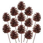 Axmon® Natural Dried Pine Cones 7 Pieces Pinecone On Sticks/stem - 2 Inch Pinecones with 4" Stick for Home, Party, Office, Bedroom, Table, Vase Fillers, Christmas Tree Decoration