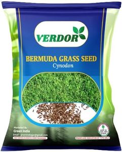Verdor Ber