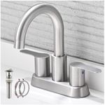 RAINMAX Bathroom Sink Faucet,Brushe