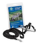 PetSafe Come with Me Kitty Harness and Bungee Leash, Harness for Cats, Medium, Black/Silver