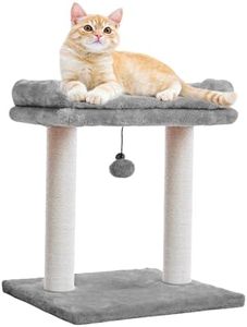 Cat Tree w