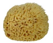 Spa Destinations Natural Sea Wool Sponge 6-7" Natural Renewable Resource Bath & Shower