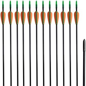 vidaXL 12x Frecce per Archi Ricurvi Standard in Fibra di Vetro Tiro Faretra