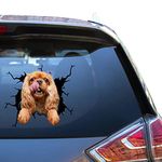 Cavalier King Charles Window Decal Cavalier Spaniel Car Sticker Funny Face Bumber Vehicle Sticker for Coolers Cooler Office Stickers