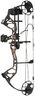 Bear Archery Royale Ready to Hunt Compound Bow Archery Set with Archery Accessories for Adults and Youths, 12”- 27” Draw Length, 5-50 Lbs Draw Weight, Up to 290 FPS