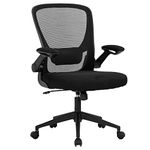 Office Chair Computer Chair Ergonomic Desk Chair Modern Rolling Executive Mesh Chair with Lumbar Support and Adjustable Mid Back Flip-up Armrests (Black)