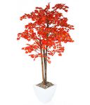 Closer2Nature 5ft 3" Artificial Plant Japanese Maple Tree; Red Autumn Tree Indoor Plant - Realistic Maple Leaves; Perfect Artificial Plants Outdoor or Indoor Plant for Home, Garden and Office