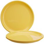 Plastic Plates