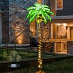 Lighted Palm Tree with Coconuts, 6FT 162 LEDs Light Up Palm Trees Outdoor, LED Tropical Artificial Plam Tree Lights for Indoor Patio Pool Hawaiian Tiki Bar Jungle Luau Party Decoration