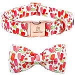 Lionheart glory Dog Collar, Dog Collar with Bow, Popsicle Print Girl or Boy Dog Bowtie Collar Cute Pet Collar Gift for X-Small Puppy and Cat