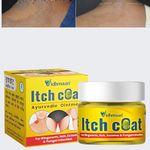 Vidhmaan Ayurvedic ItchCoat Anti fungal Malam 22 Gm - for Ringworm, itching, Eczema ((Pack of 1))