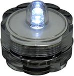 BlueDot Trading Submersible Tea Lig