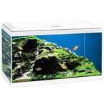 Love Aquatics 60 LED Tropical Glass White Aquarium - Includes Filter, Lights & Heater 58L Fish Tank With FREE Syphon Kit and Thermometer