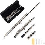 LeSage C Flutes Closed Hole 16 Key Silver Flute for Beginner Starter Student School Band with Case
