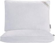 Laura Ashley Garden Party Cotton Bed Breathable Plush Soft Comfortable Luxury Home Deco Pillow, King, White 2 Count