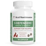 5 Defenders Mushroom Supplements fo