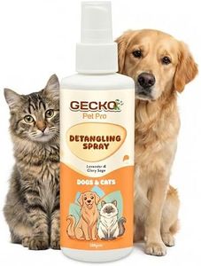 Gecko Pet