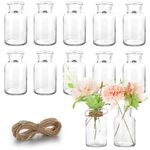 Vmgigig Flower Vase, 12PCS Small Glass Vase Set Bud Vases, mini Vintage Vase for Flowers, Small Vase for Decorative Table Wedding Party Home