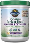 Garden of Life Vegan Green Superfood Powder - Raw Organic Perfect Whole Food Alkalizer & Detoxifier, 10.1oz (285g) Powder