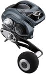 DIAWA Lexa 400 TWS BAITCASTING Reel