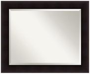 Amanti Art Mirrors