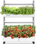 Indoor Garden Hydroponics Growing S