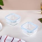 Nestasia Lunch Box Set Of 2 | Square Borosilicate Glass Containers, Microwave Safe & Leak Proof, Freezer-Safe With Bpa-Free Safety Lock Airtight Lids For Office (300 Ml, Transparent)