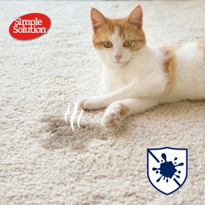 Simple Solution Cat Stain Remover Spray, 500ml – Pet Odor Eliminator