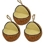 XL Peanut Suet Coconut Feeder, 3 Pack, Wild Bird Food, Butter for Birds, Hanging Feeder, Suet for Birds