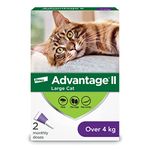 Flea Medicine For Cats