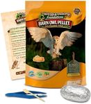 Barn Owl Pellets Classroom 1 Pack (Large) – Dissection Kit for Ecology & STEM – Includes Forceps, Picks & Teacher Guide – Hands-On Science Activity