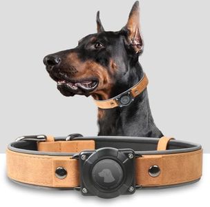 AirTag Dog