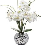 Orchids Artificial Flowers 20.8'' F