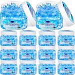 Dansib 12 Pcs Air Freshener Gel Bul